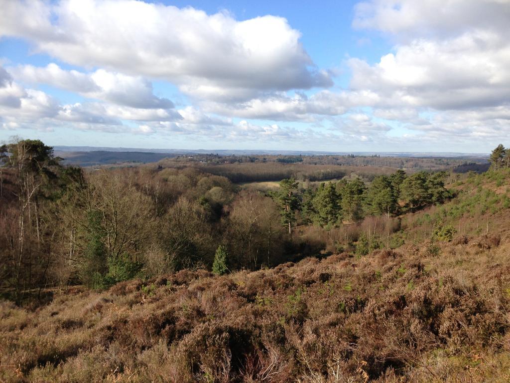 The Old Cook'S House Villa Hindhead Oda fotoğraf